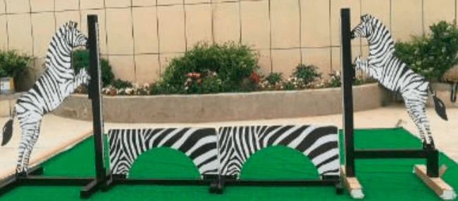 Zebras with fill - $1460.00 inc GST
