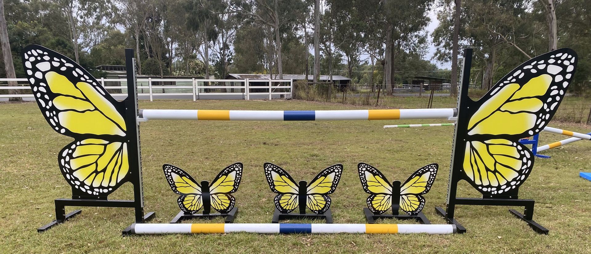 Butterflies - $1380.00 inc GST