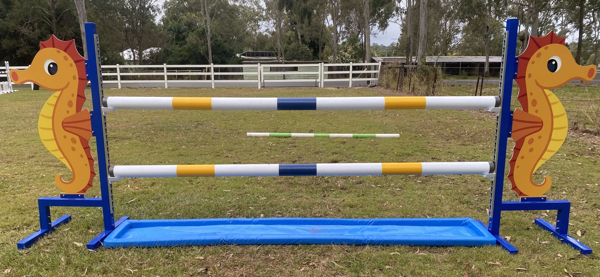 Sea horses - $760.00 inc GST